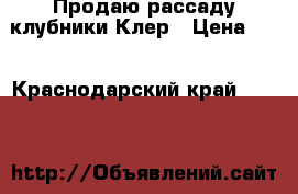Продаю рассаду клубники Клер › Цена ­ 3 - Краснодарский край  »    